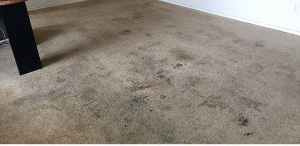 Before cleaning — before · soiled traffic lane, embedded grit