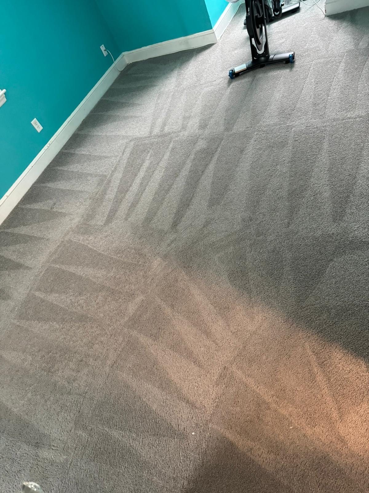 Stain & Pet Odor Cleaning — Aladdin's Carpet Cleaners